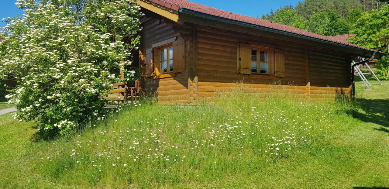 Villa Blockhaus Stamsried Exterior foto